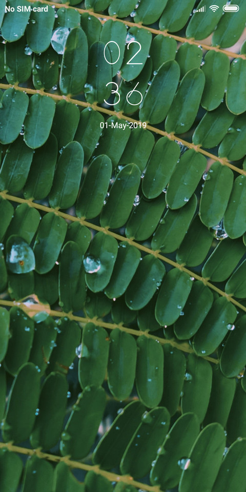 Spwa_DWM2 screenshot