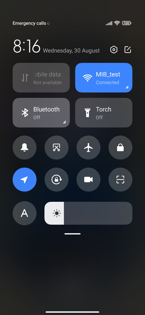 Gemini screenshot