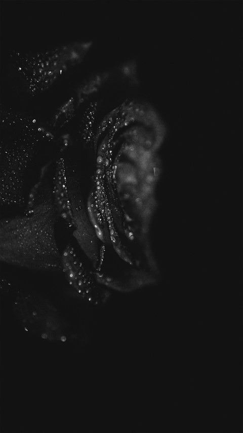Black and White Photography Art screenshot