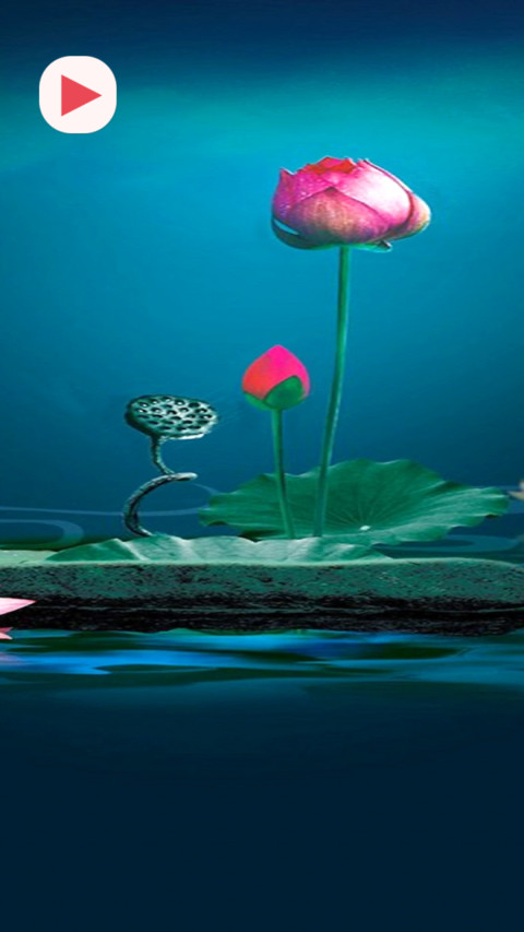 Hồng Liên Hoa V2 screenshot