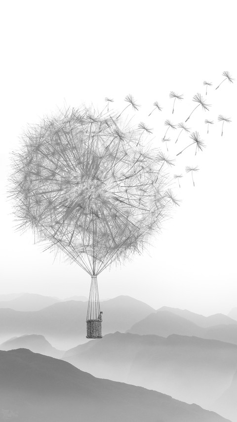 Dandelion (3) screenshot