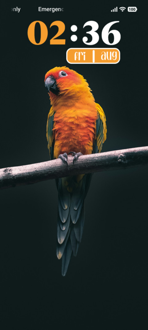 Golden Parrot screenshot