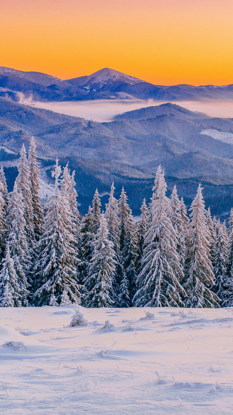 Winter Snowfield screenshot