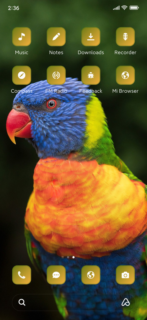 Colourful parrot screenshot