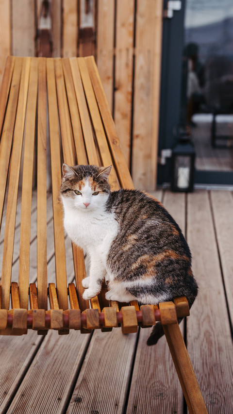Sit on the terrace chair screenshot