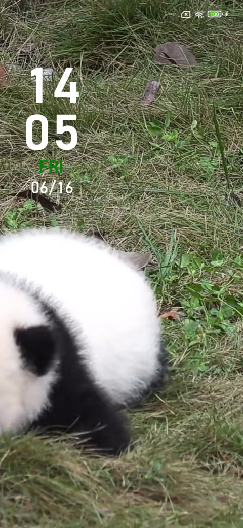 panda screenshot