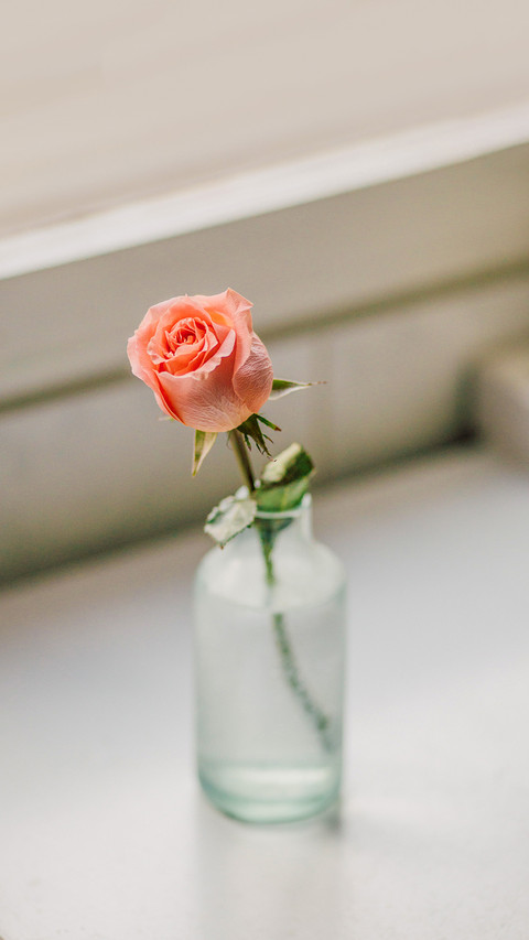 Artistic still life photography screenshot