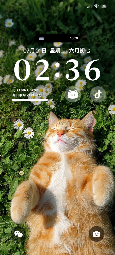 慵懒可爱小橘ins screenshot