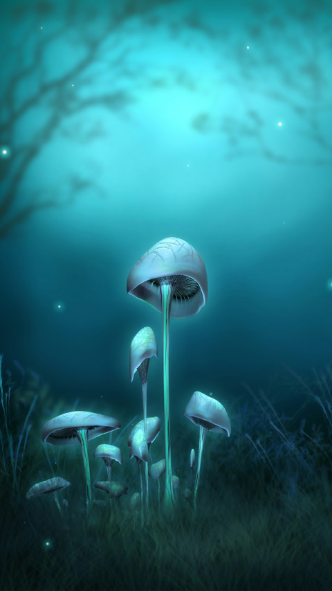 梦幻OS screenshot