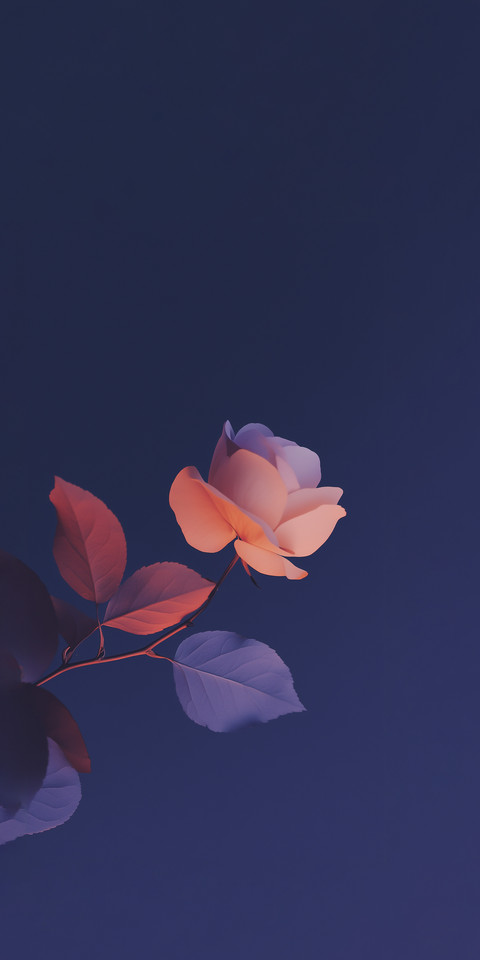 Silhouette6.jpg screenshot