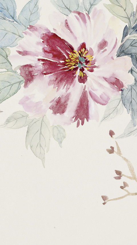 宋秦晋的花朵世界 screenshot