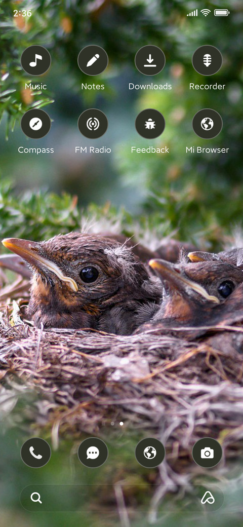 Forest Nest screenshot