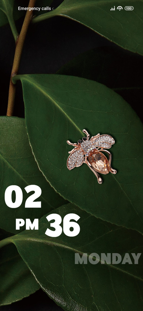 Insect screenshot