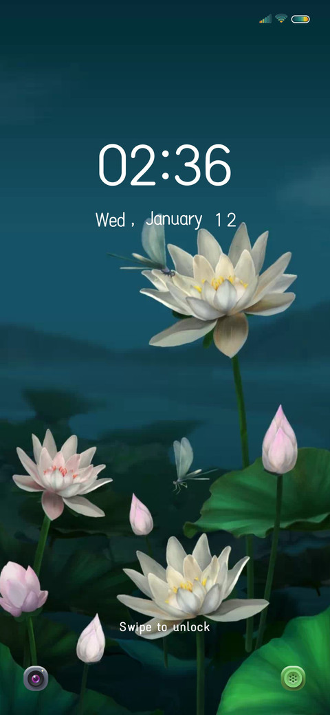 Lotus pond screenshot