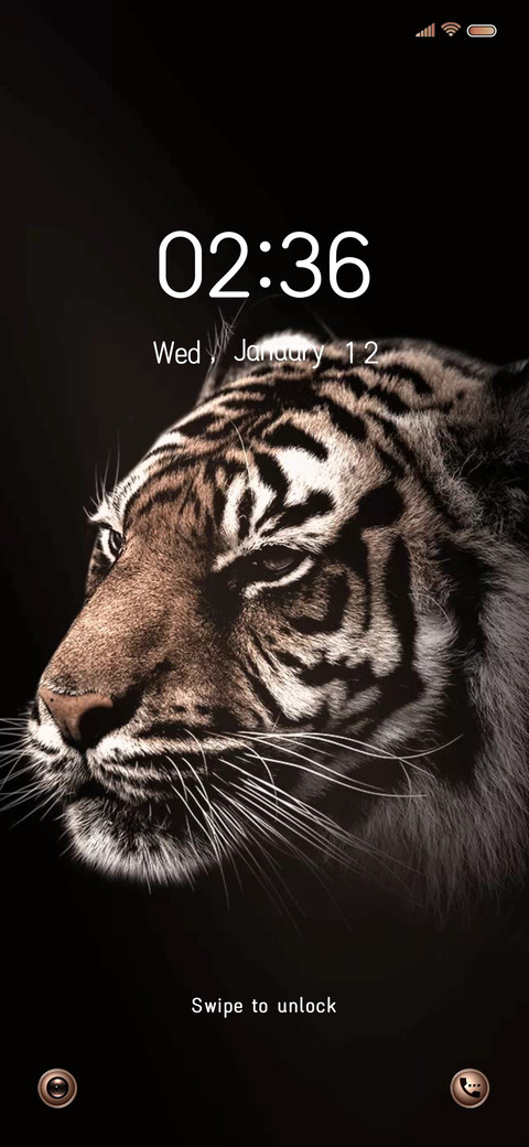 Bengal tiger screenshot