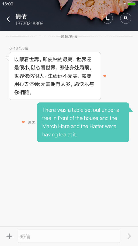 叶子 screenshot