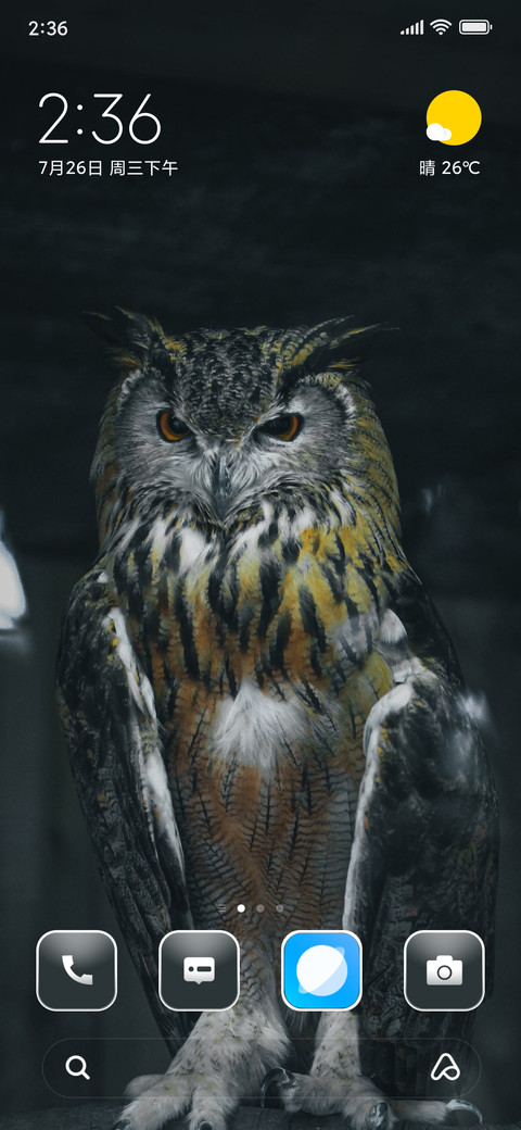 Owl Dark screenshot