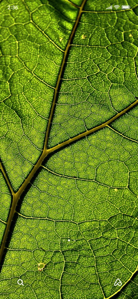 nature greeny screenshot