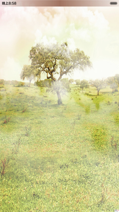 好大一棵树 screenshot