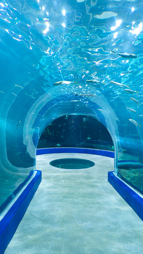 International-Aquarium screenshot