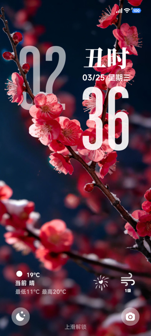 3D壁纸 暗香袭来 screenshot