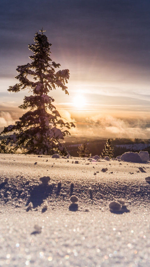 Winter screenshot