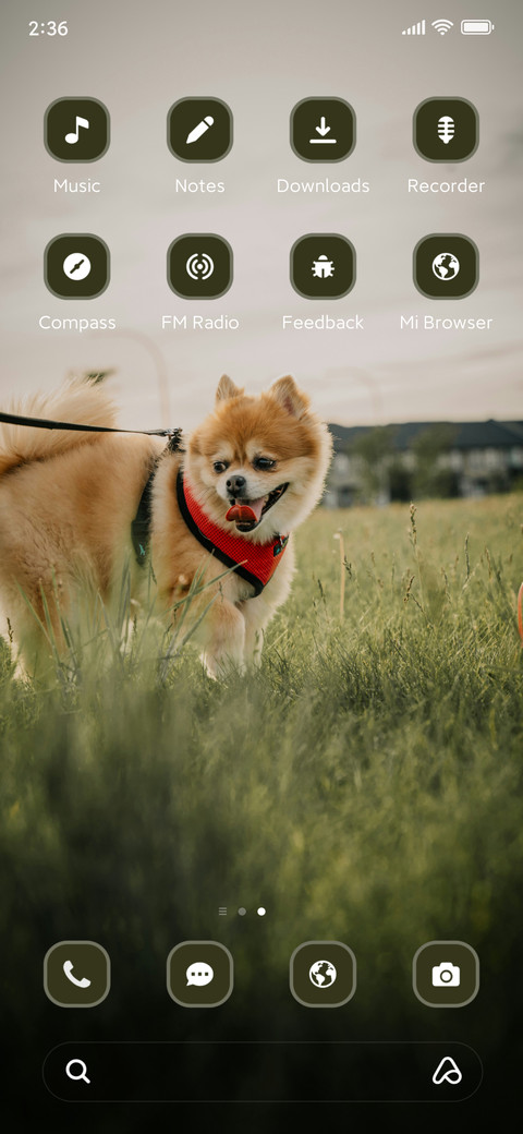 Puppy screenshot