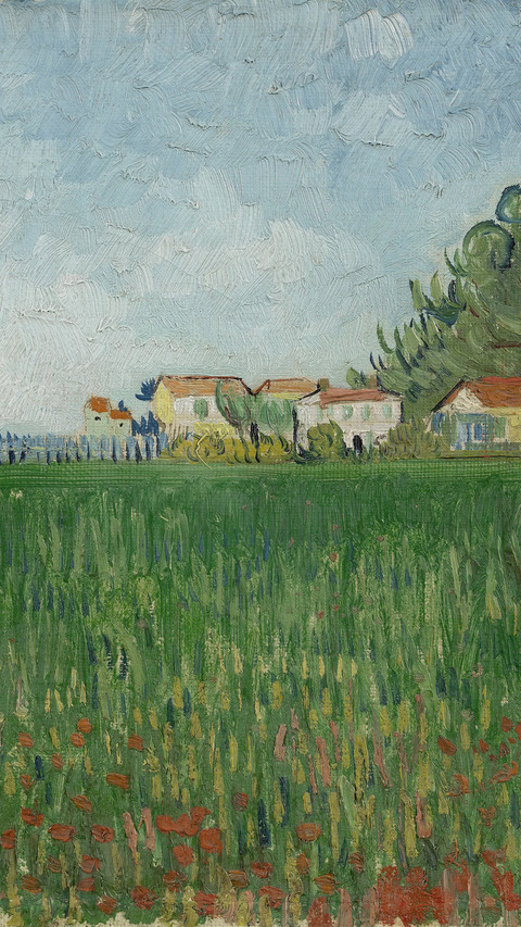 FieldwithPoppiesNearArles screenshot