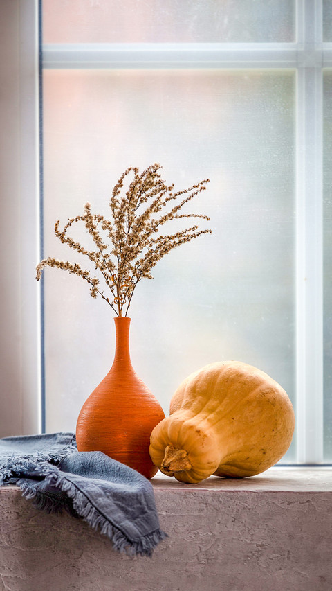Still life of pumpkin and dry branch in vase on windowsill screenshot