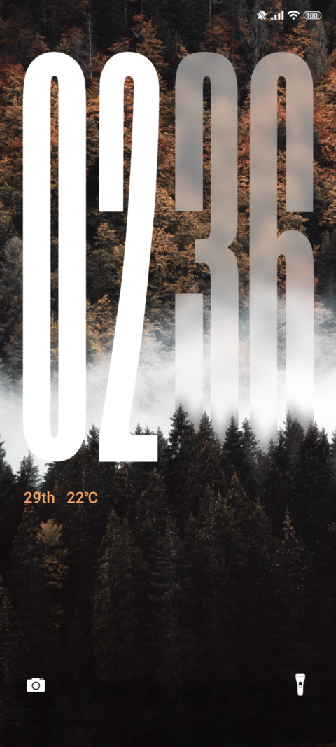 Autumn pine forest screenshot