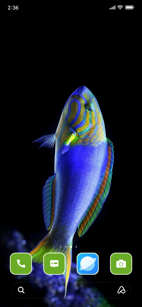 Fish screenshot