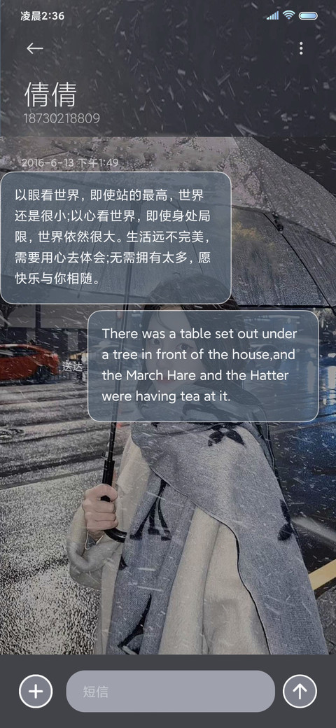 双模式 雪落年年 screenshot