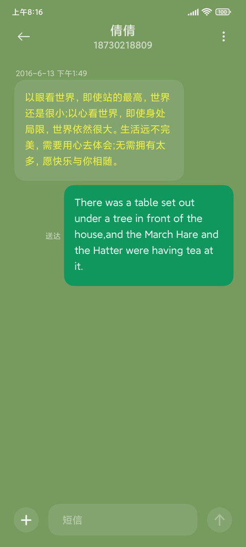 小雏菊丛中的小猫咪 screenshot