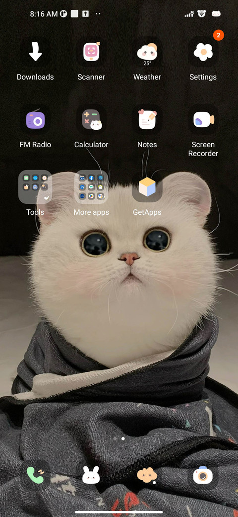 Kitten Head screenshot