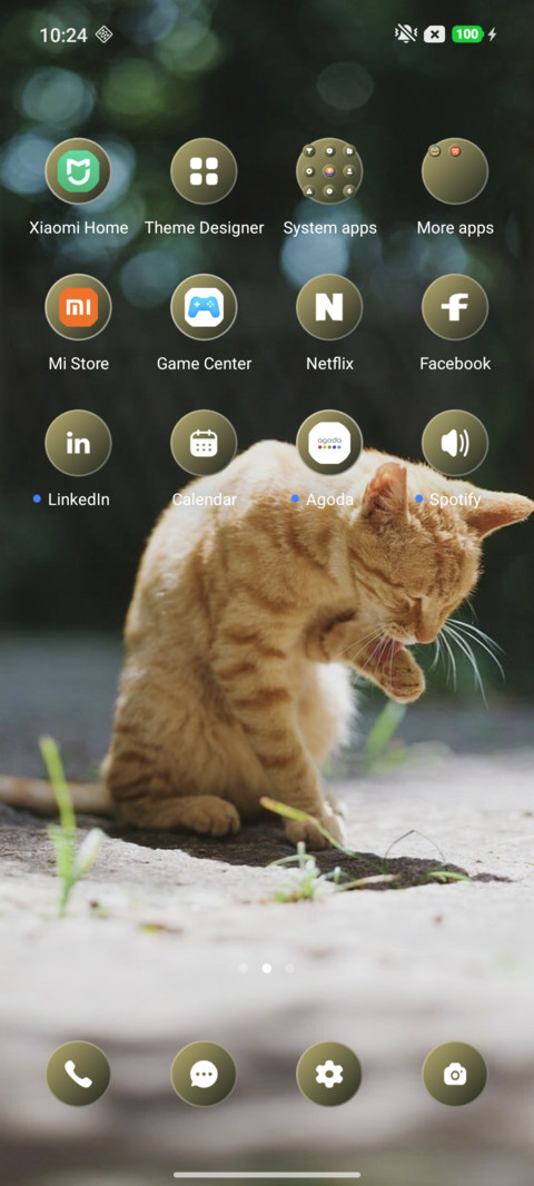 Cat Look screenshot