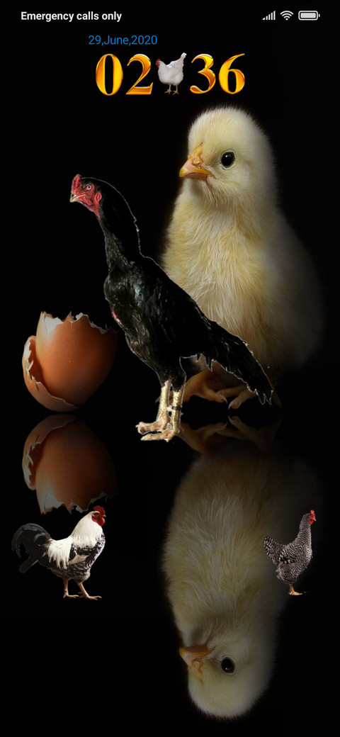 Egg Chick screenshot