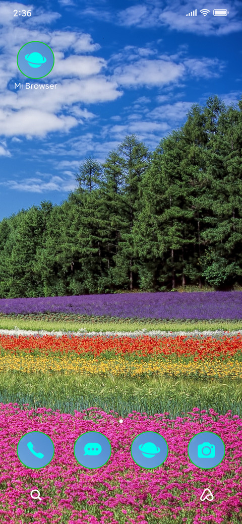 nature tulips screenshot