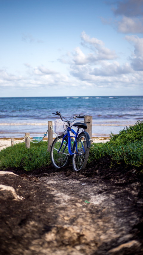 Bicycle (5) screenshot