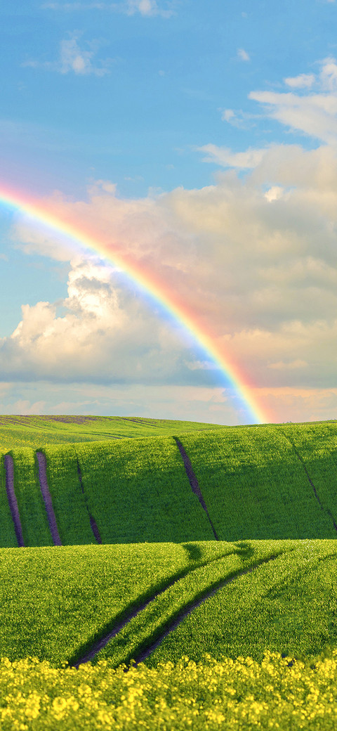 Lucky rainbow-PAIXIN screenshot