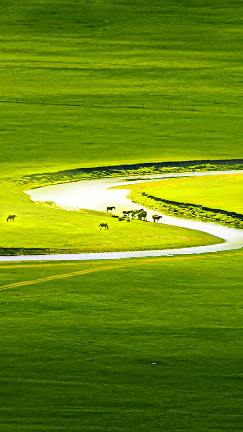 Green represents the flowing vitality screenshot