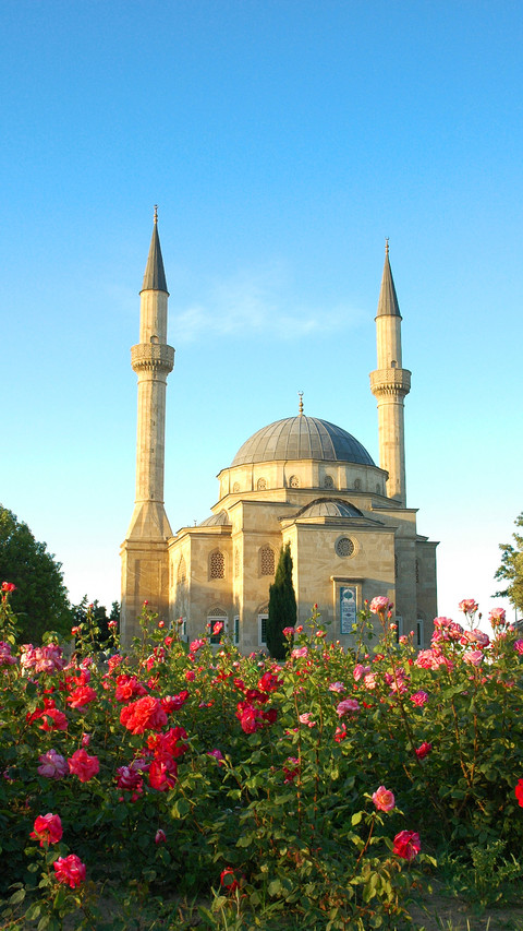 Romantic Turkey screenshot