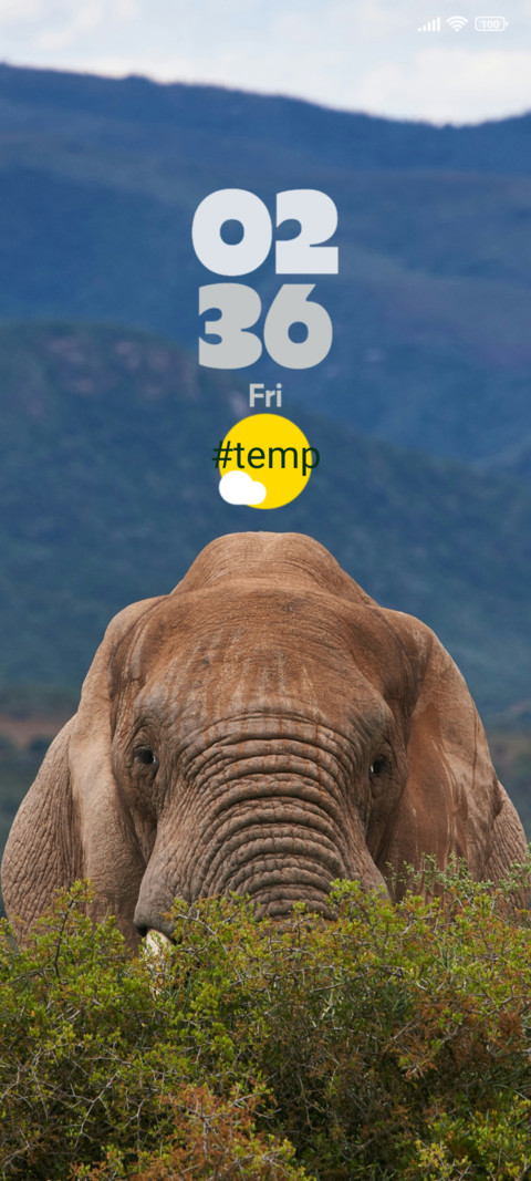Elephant screenshot