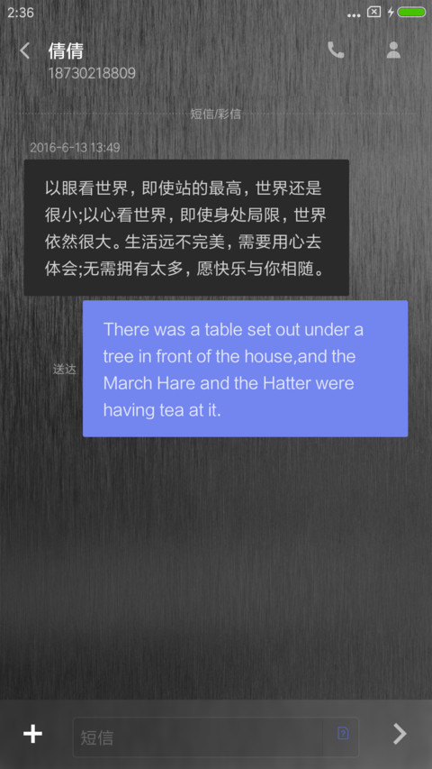 金属风 screenshot
