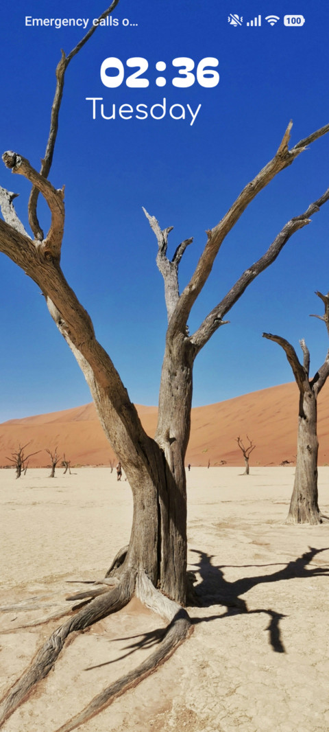 Desert Bones screenshot