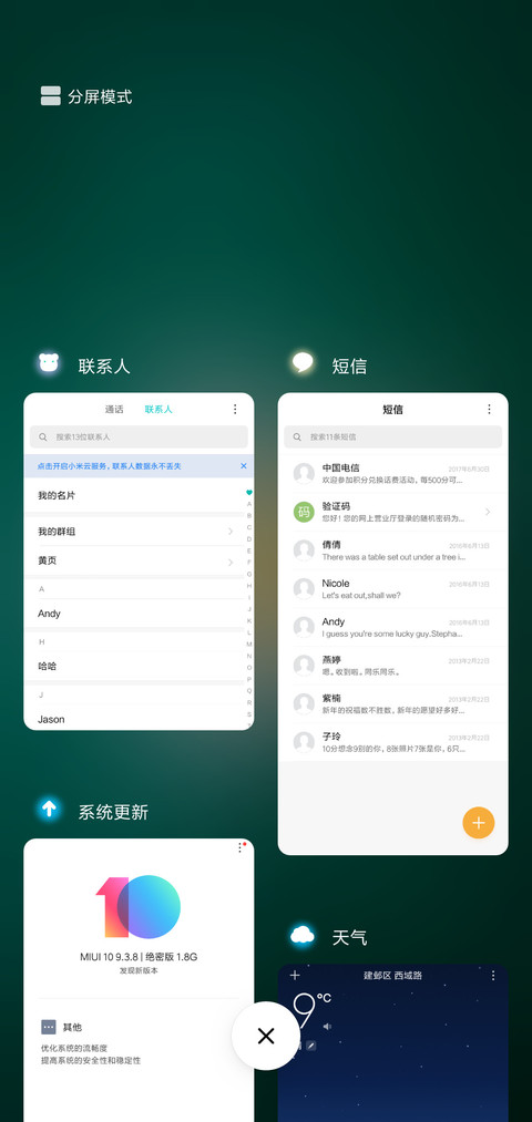 无叶花 screenshot