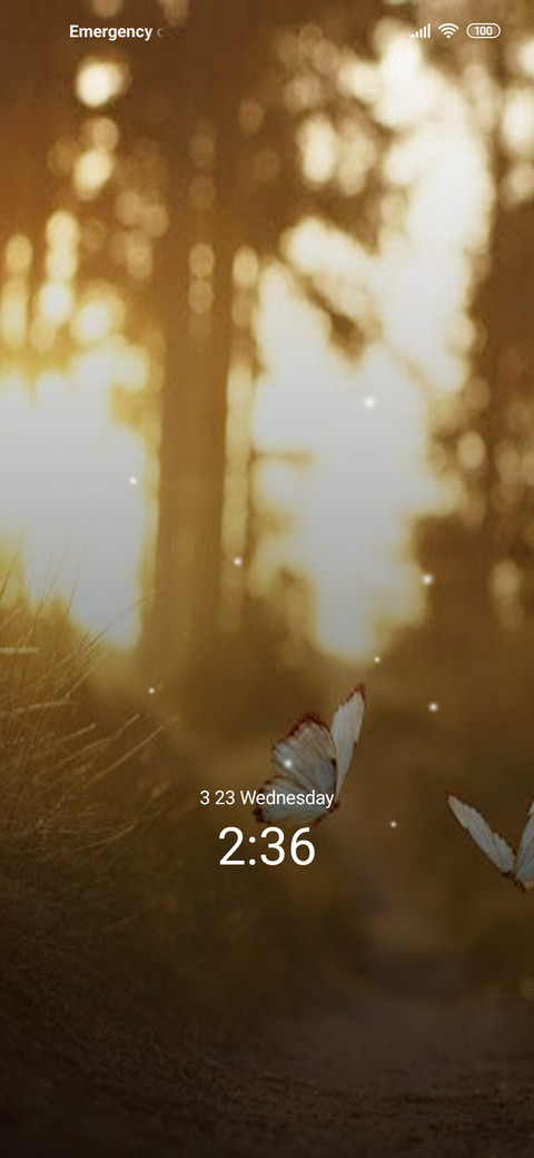 Aldis screenshot
