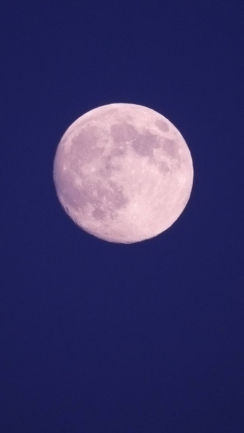 Moon Wallpaper screenshot