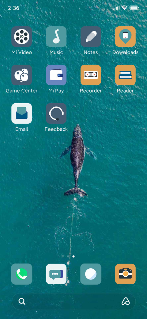 Whale emergence screenshot