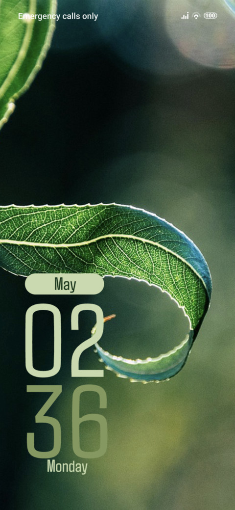 Leaf Curls screenshot