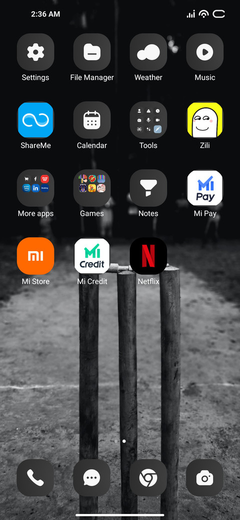 Night Cricket screenshot